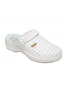 Scholl zueco new bonus...